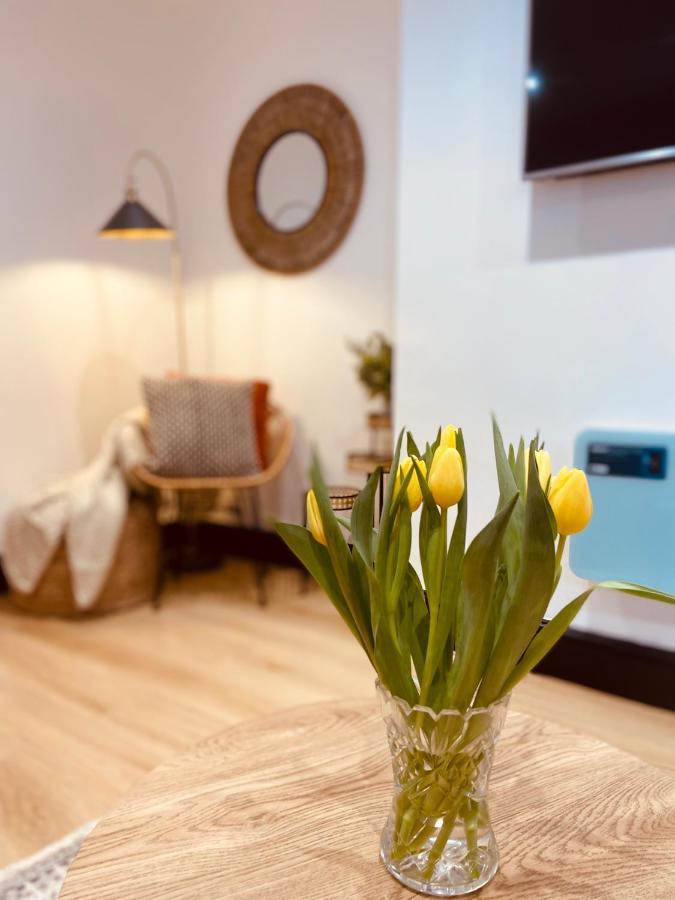 Apartment On The Hoe & Coastal Path With Free Parking بلايموث المظهر الخارجي الصورة
